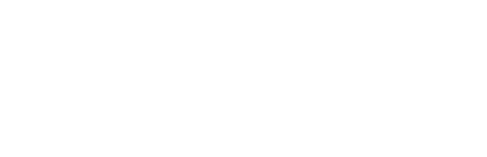 Hotel Arlenlodge
